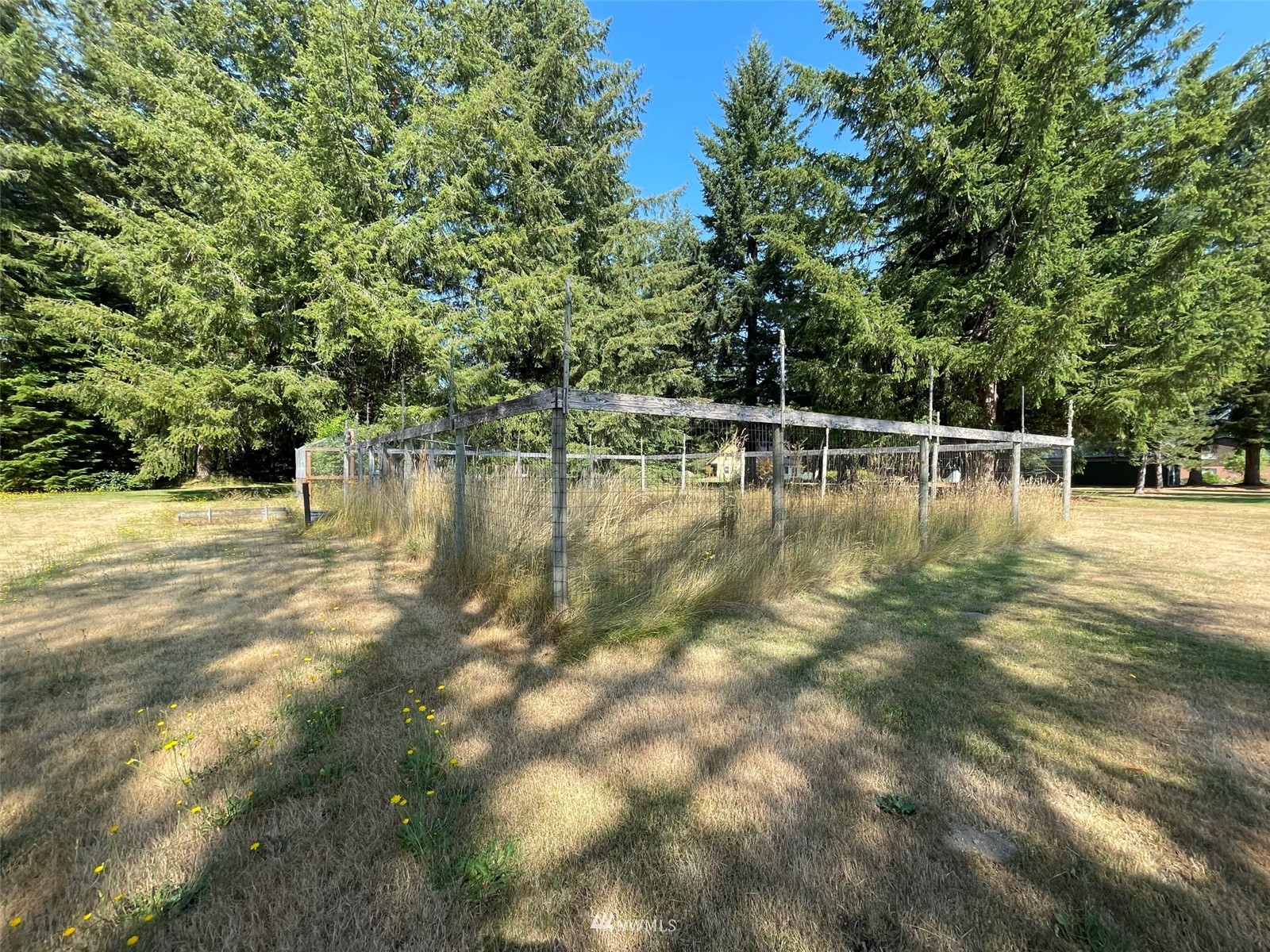 141 Shelton Road Randle, WA 98377 - Photo 19 of 22 Gallery Image 19