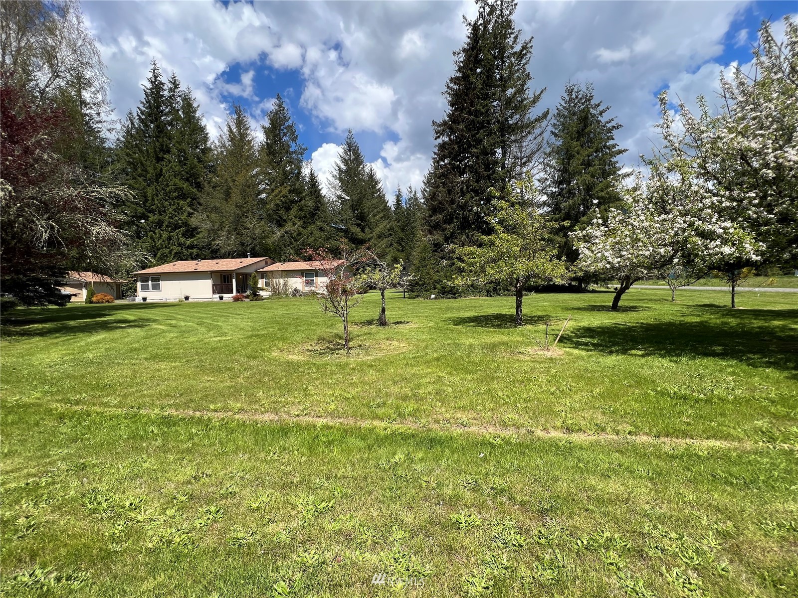141 Shelton Road Randle, WA 98377 - Photo 2 of 22 Gallery Image 2