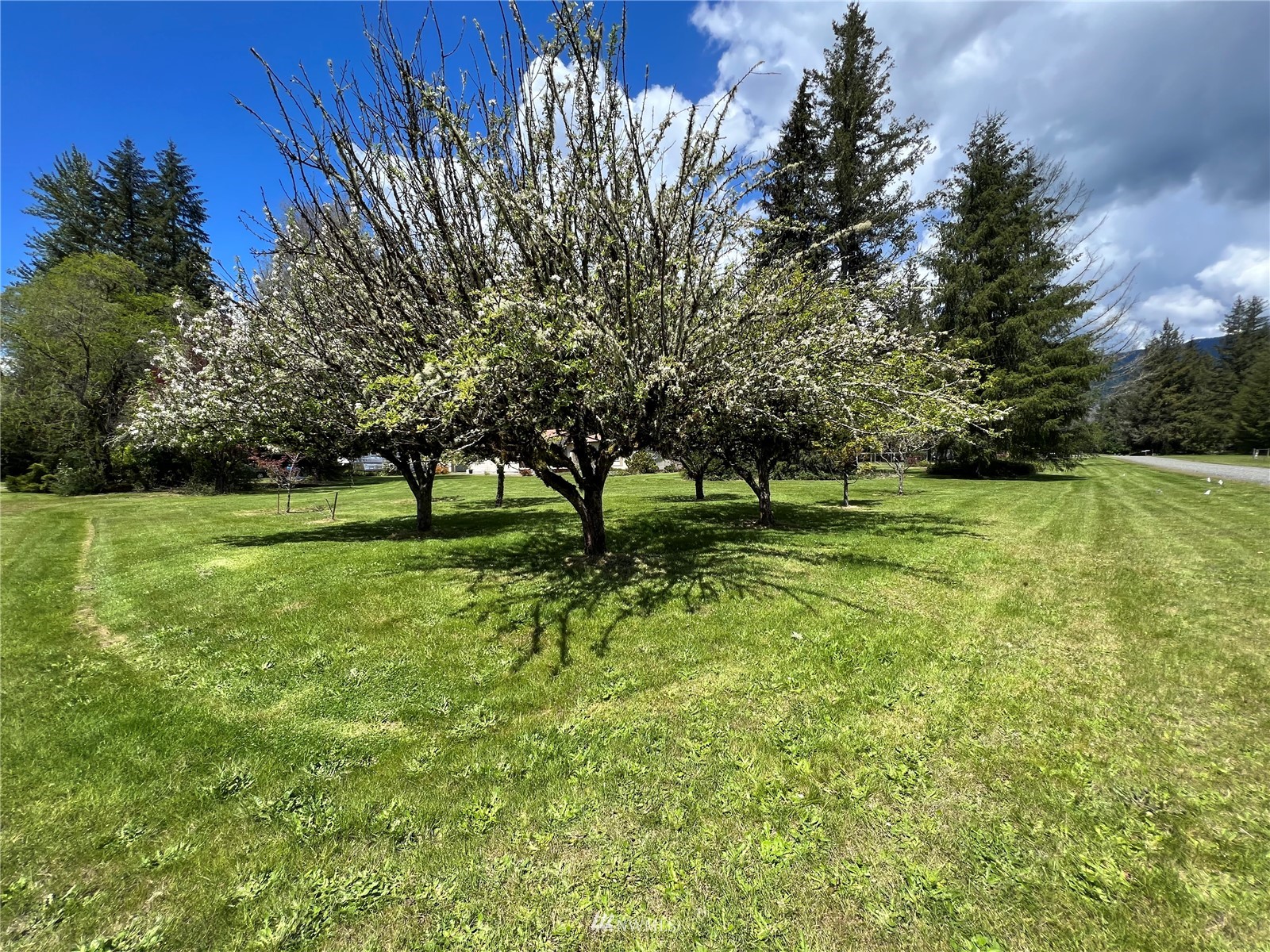 141 Shelton Road Randle, WA 98377 - Photo 22 of 22 Gallery Image 22
