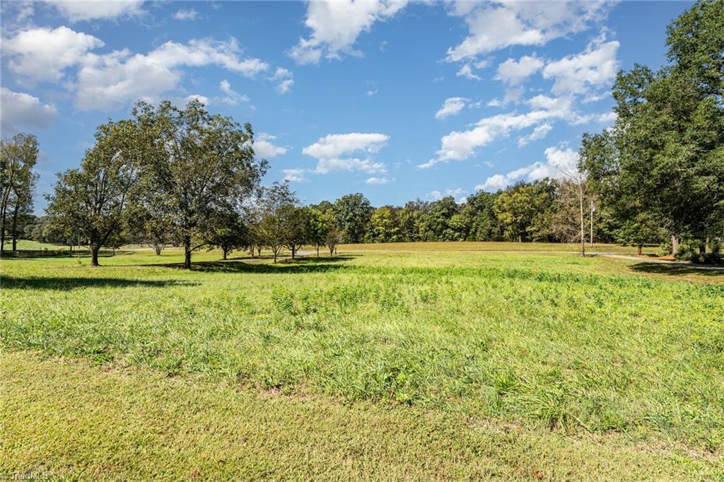 3695 Highway 22 Bennett, NC 27208 - Photo 29 of 39