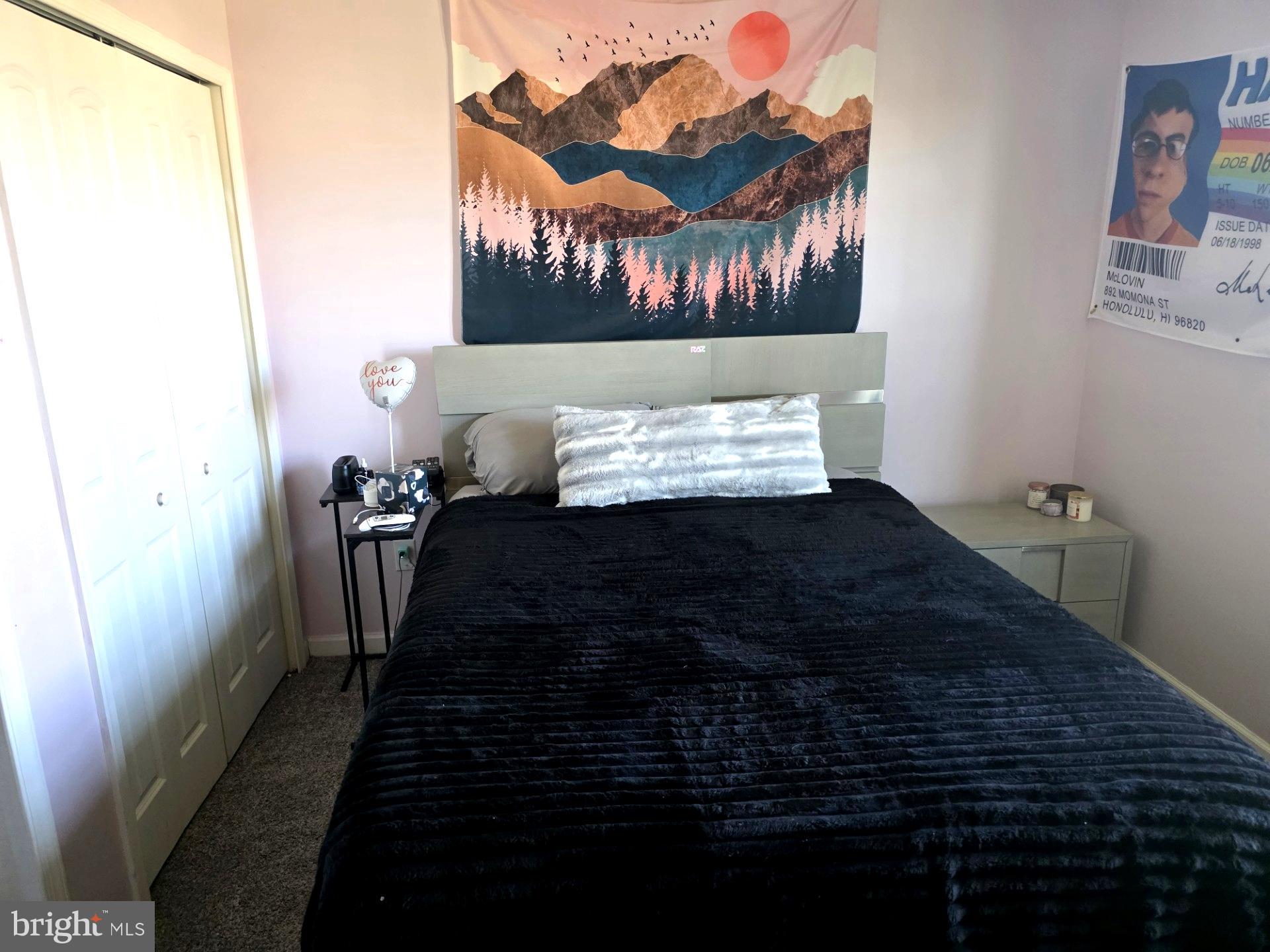 636 Rigel Way Bear, DE 19701 - Photo 20 of 25 Bedroom #2