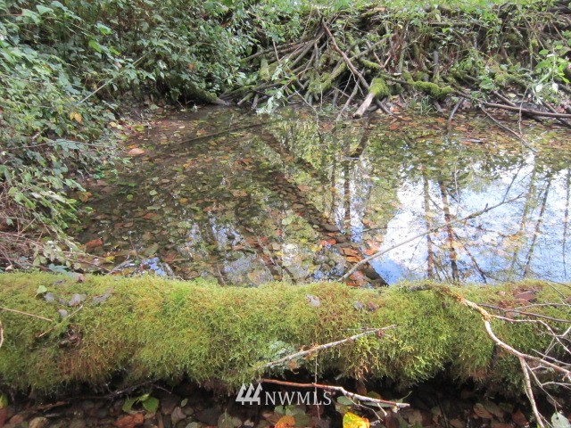 61378 Cascade River Road Marblemount, WA 98267 - Photo 11 of 12 Gallery Image 11