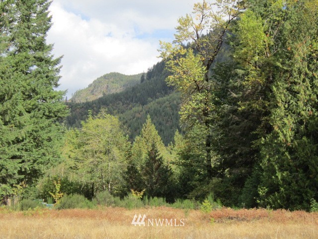 61378 Cascade River Road Marblemount, WA 98267 - Photo 8 of 12 Gallery Image 8