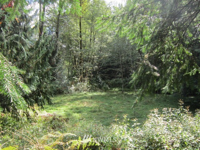 61378 Cascade River Road Marblemount, WA 98267 - Photo 9 of 12 Gallery Image 9