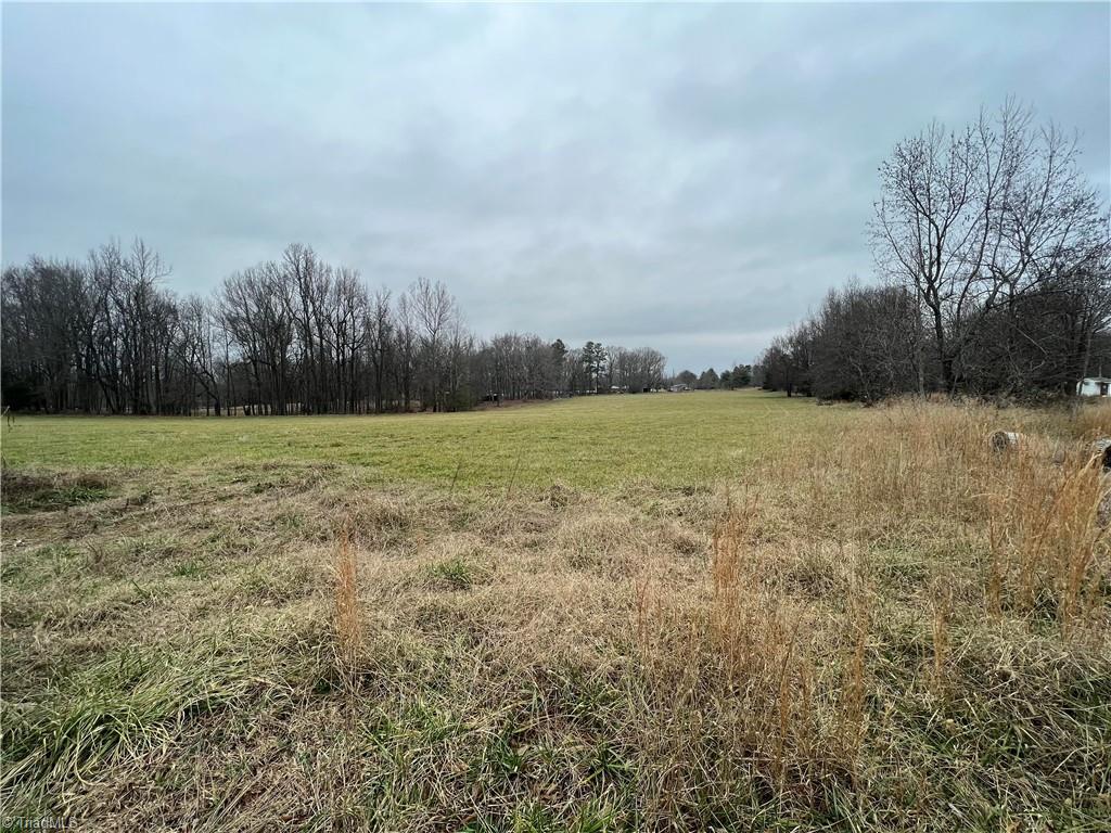 0 Mack Lineberry Road Climax, NC 27233 - Photo 11 of 11 Gallery Image 11
