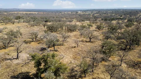 $495,000 | Lot 9 Silas Trail, Fredericksburg, TX 78624