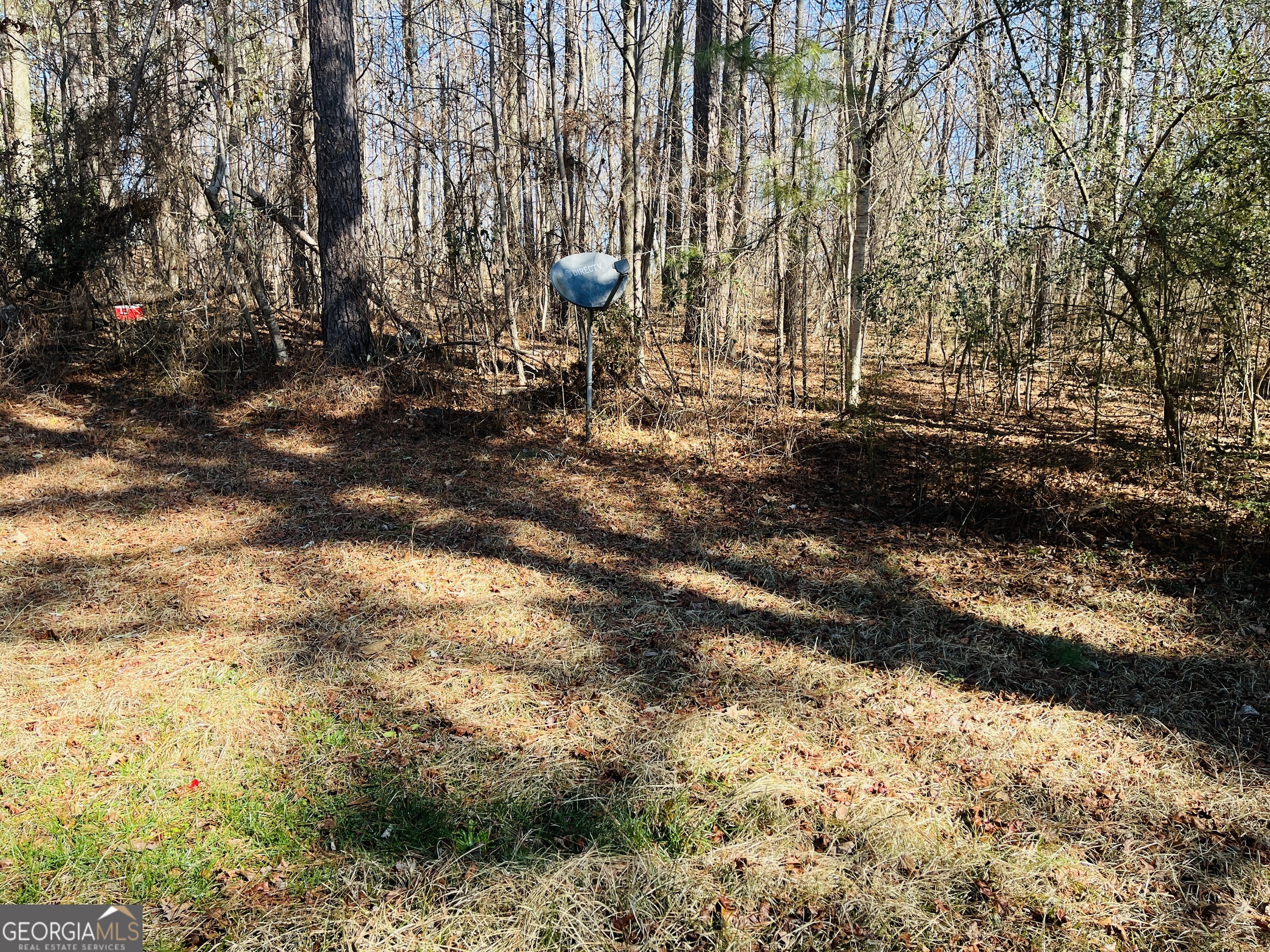 4120 Midway Road, Unit 4120 Douglasville, GA 30134 - Photo 22 of 24 a view of yard