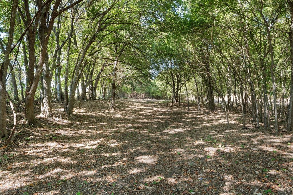 477 Wolf Creek Road Lorena, TX 76655 - Photo 3 of 40 a view of outdoor space with trees