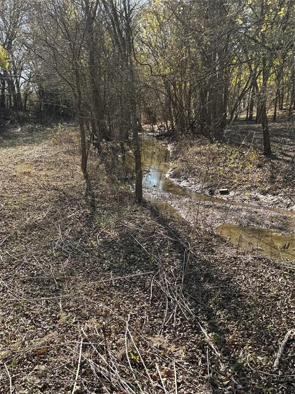 477 Wolf Creek Road Lorena, TX 76655 - Photo 40 of 40 a view of a yard with large trees