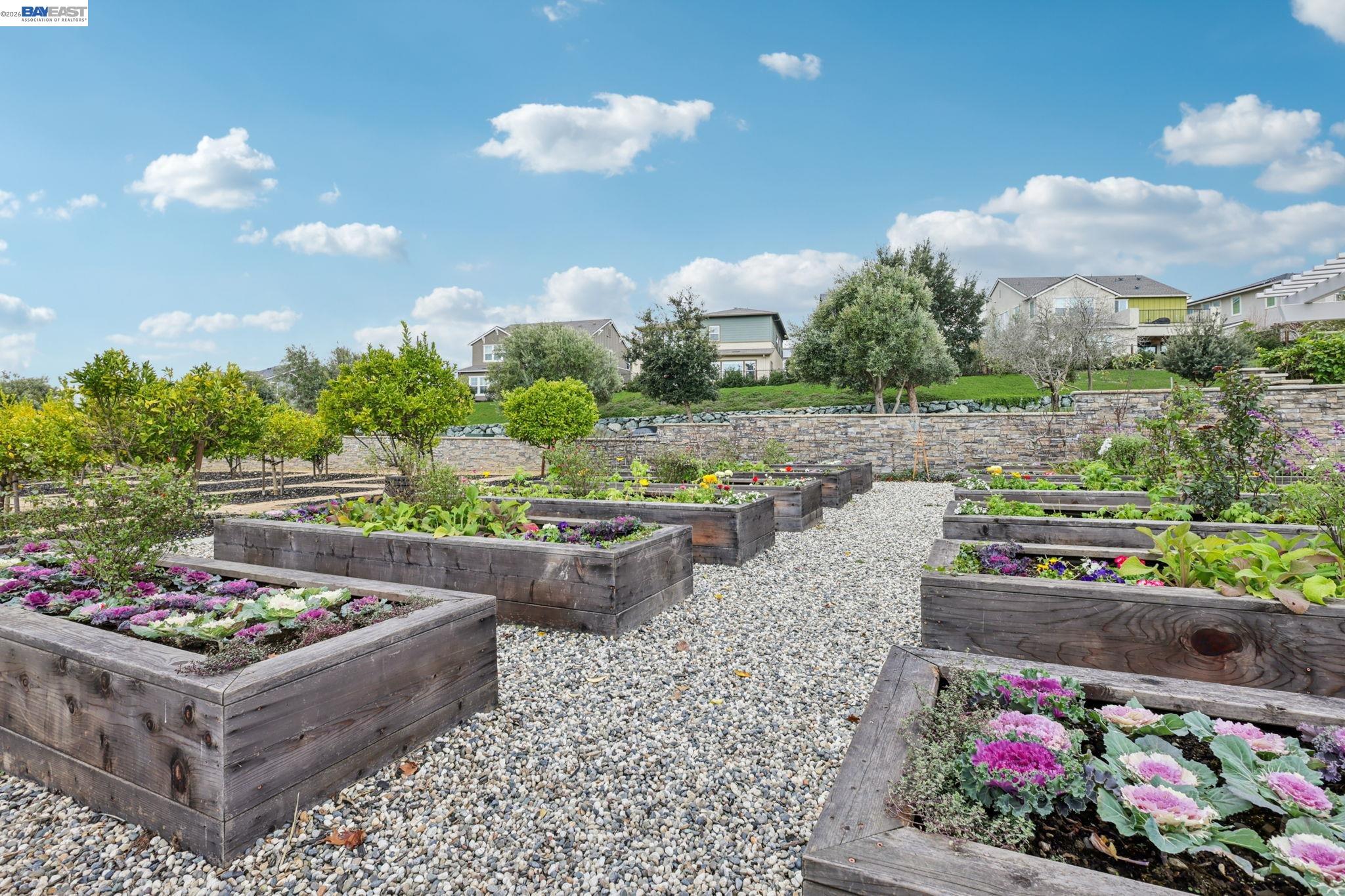 4022 Windsor Way Dublin, CA 94568 - Photo 36 of 55 a area with lots of fruit and vegetables