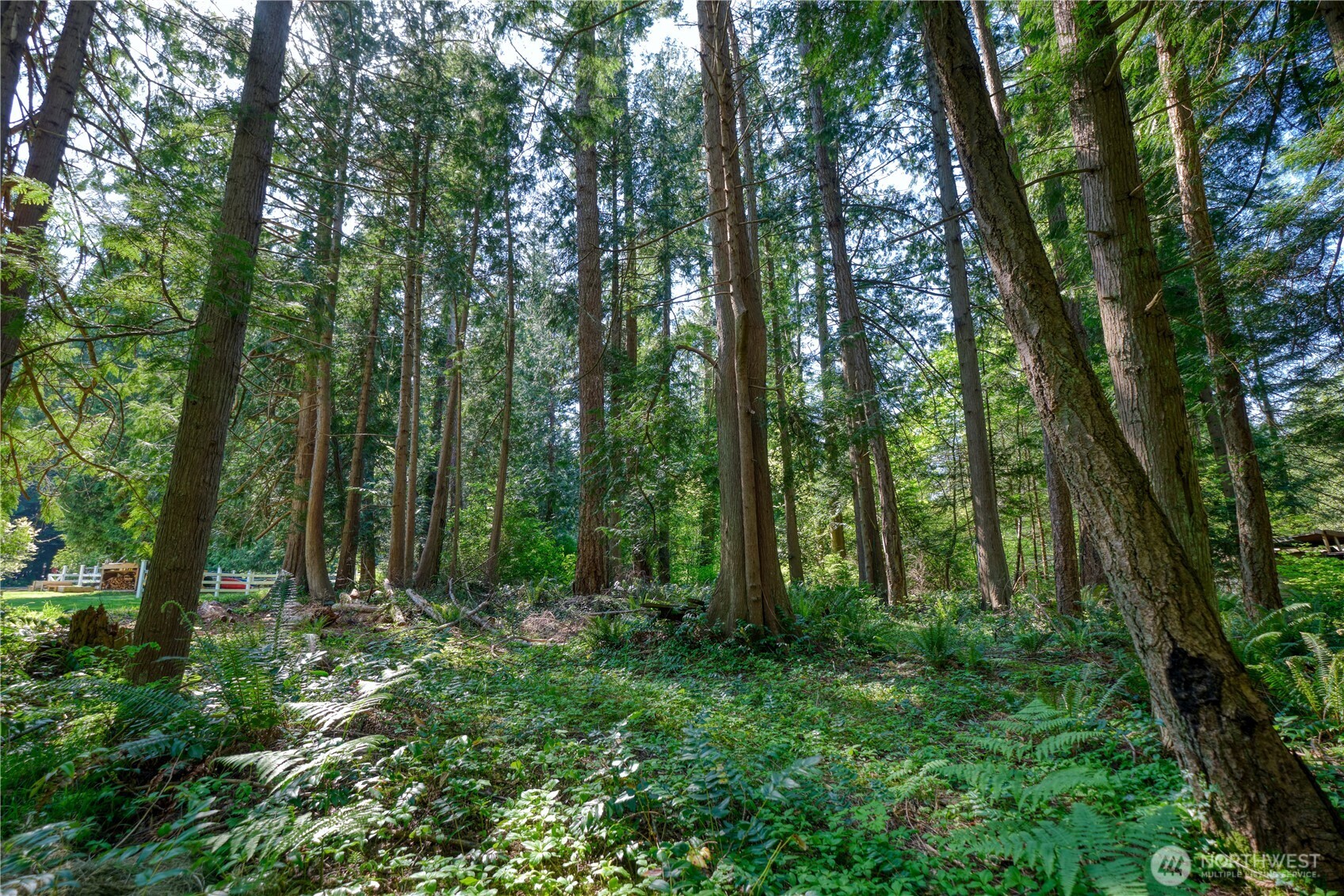 1984 Johnson Road Point Roberts, WA 98281 - Photo 39 of 40