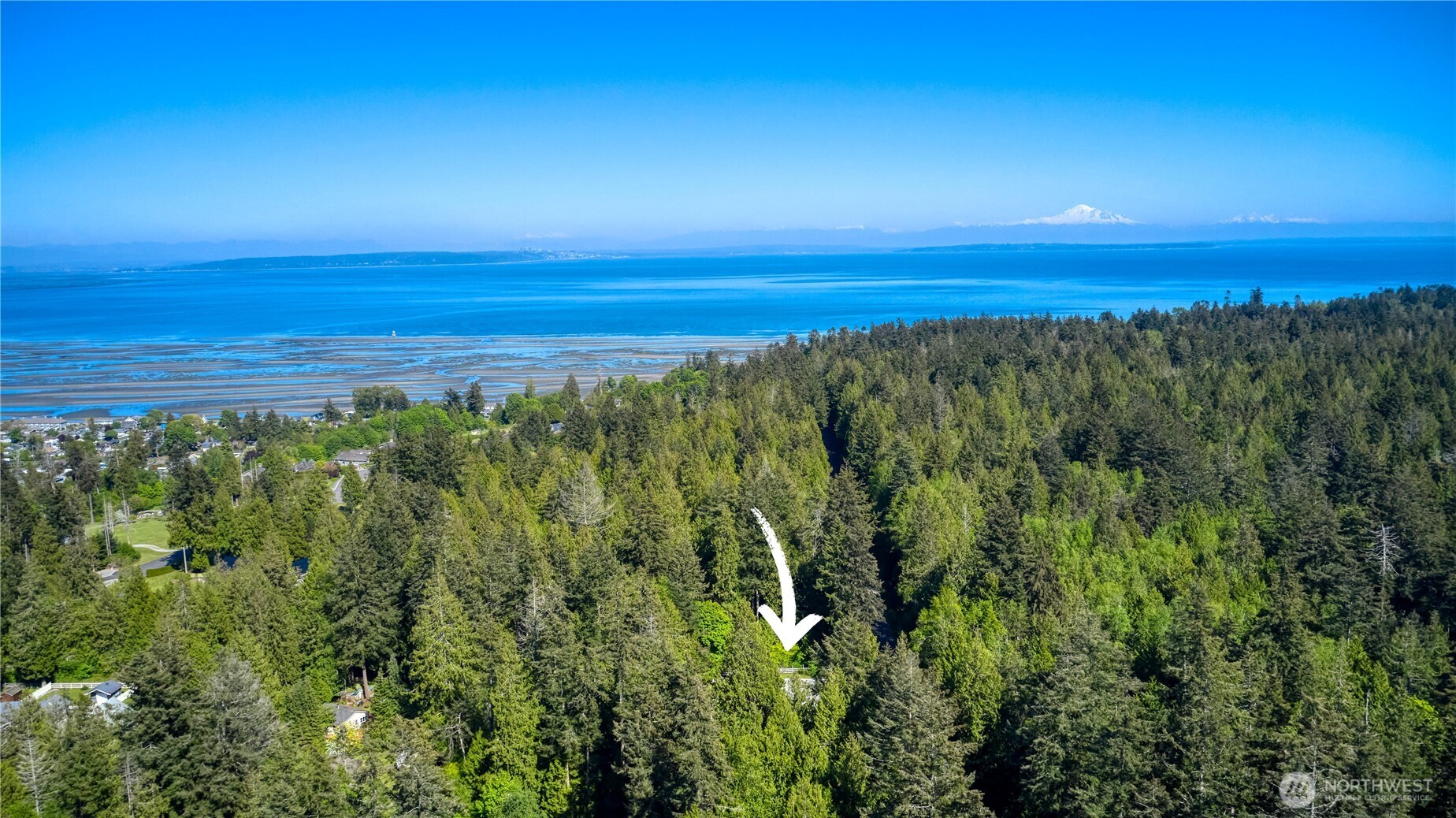 1984 Johnson Road Point Roberts, WA 98281 - Photo 5 of 40