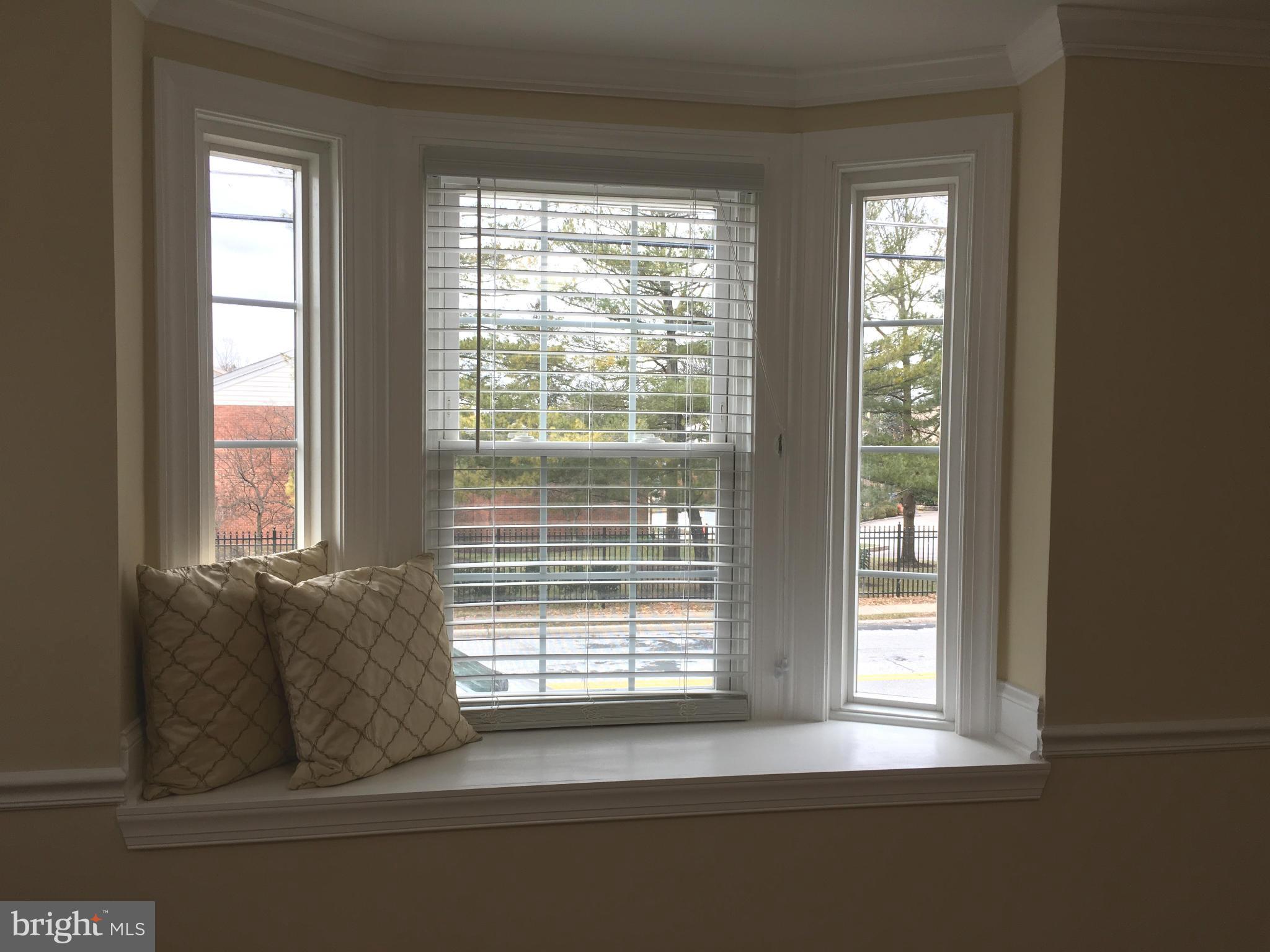 201 Blenheim Road Baltimore, MD 21212 - Photo 12 of 30 Your Own Retreat