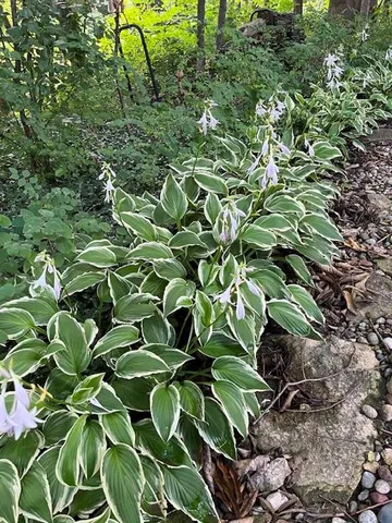 $825,000 | 13841 Hadley Street, Overland Park, KS 66223