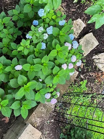 $825,000 | 13841 Hadley Street, Overland Park, KS 66223