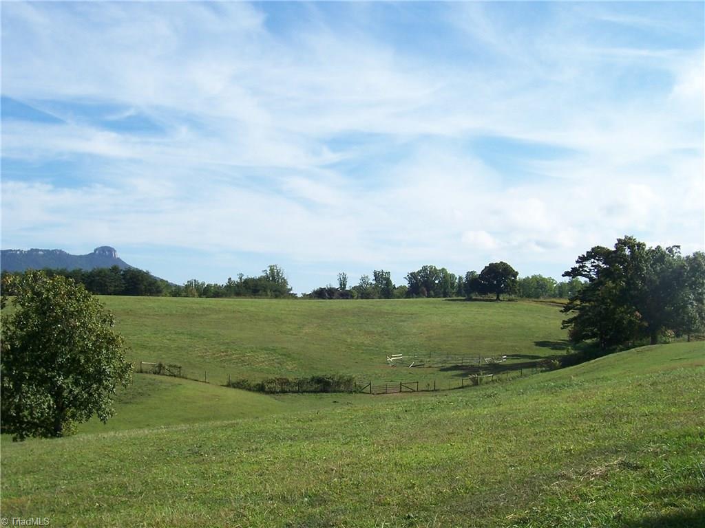 0 Ellis Hardy Road Pinnacle, NC 27043 - Photo 1 of 2