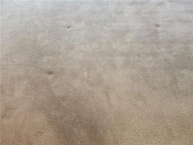 $3,500 | 361 Autumn Lakes Road, Slidell, LA 70461