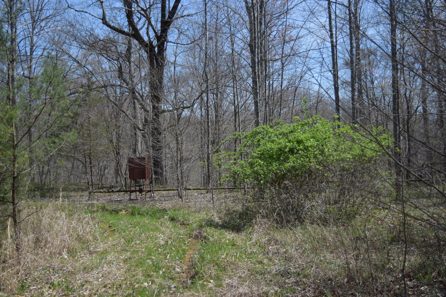 9999 Teges Creek Road Manchester, KY 40962 - Photo 7 of 32 Photo 7