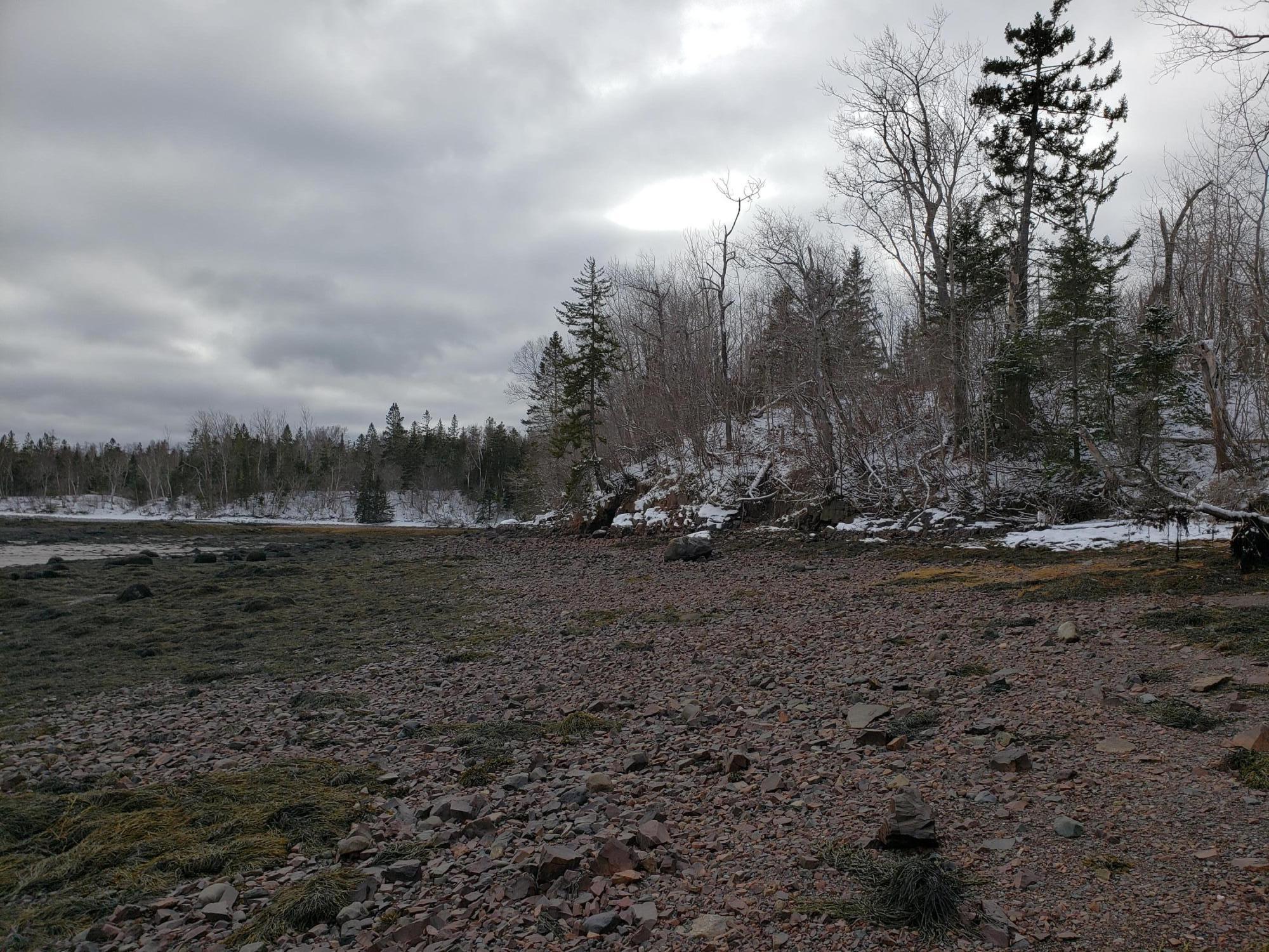 Xx Birch Point Road Perry, ME 04667 - Photo 6 of 10 20210107_124641