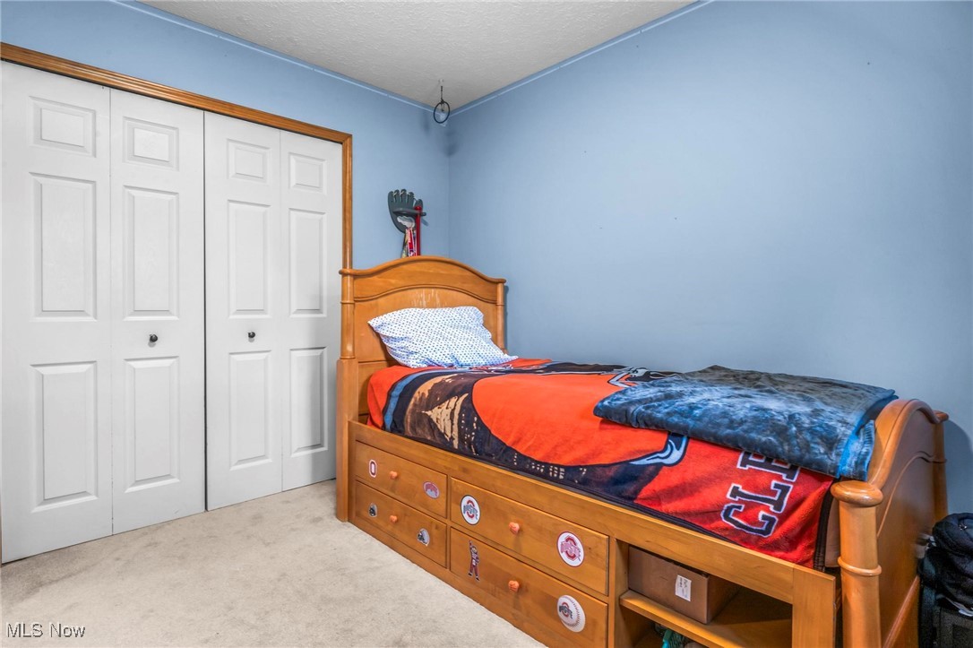 9230 Reed Road North Ridgeville, OH 44039 - Photo 30 of 48 Bedroom with a closet, light carpet, and a textured ceiling