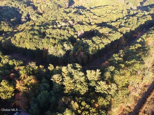 38.11 Spring Ave Extension Gloversville, NY 12078 - Photo 16 of 17 IMG_7024