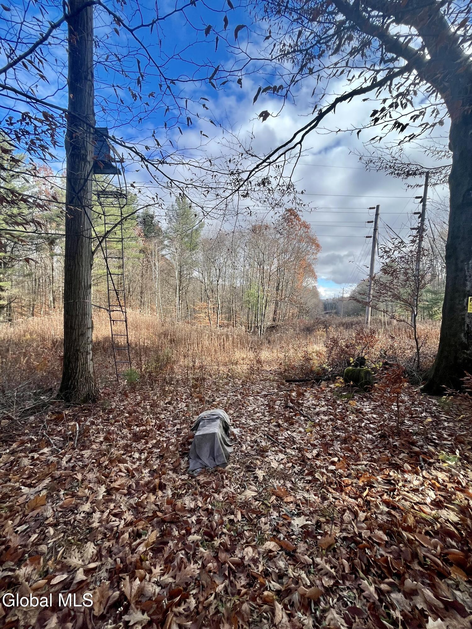 38.11 Spring Ave Extension Gloversville, NY 12078 - Photo 3 of 17 IMG_7058