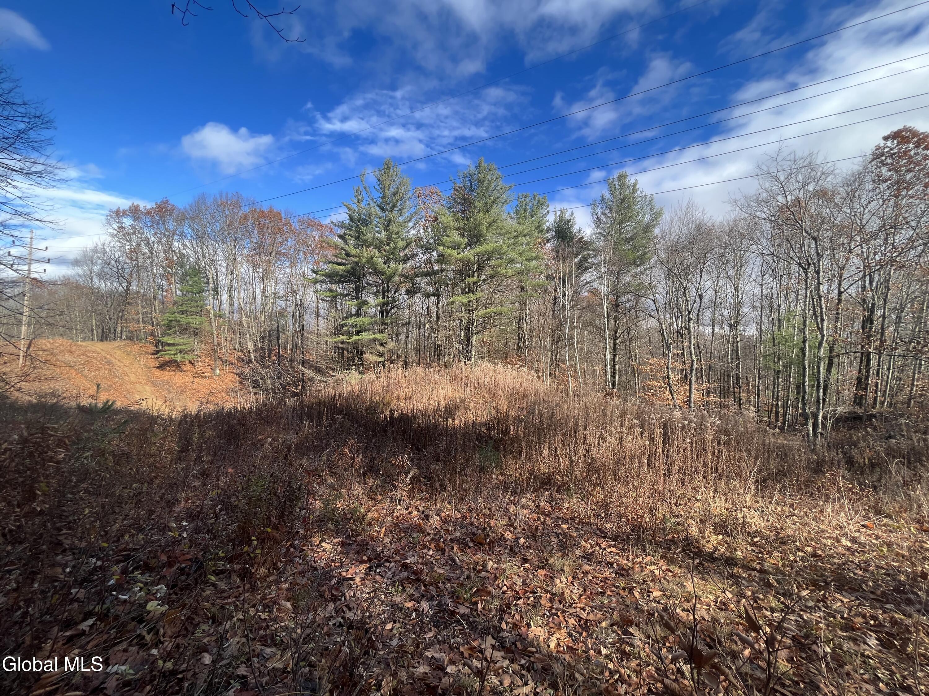 38.11 Spring Ave Extension Gloversville, NY 12078 - Photo 4 of 17 IMG_7062