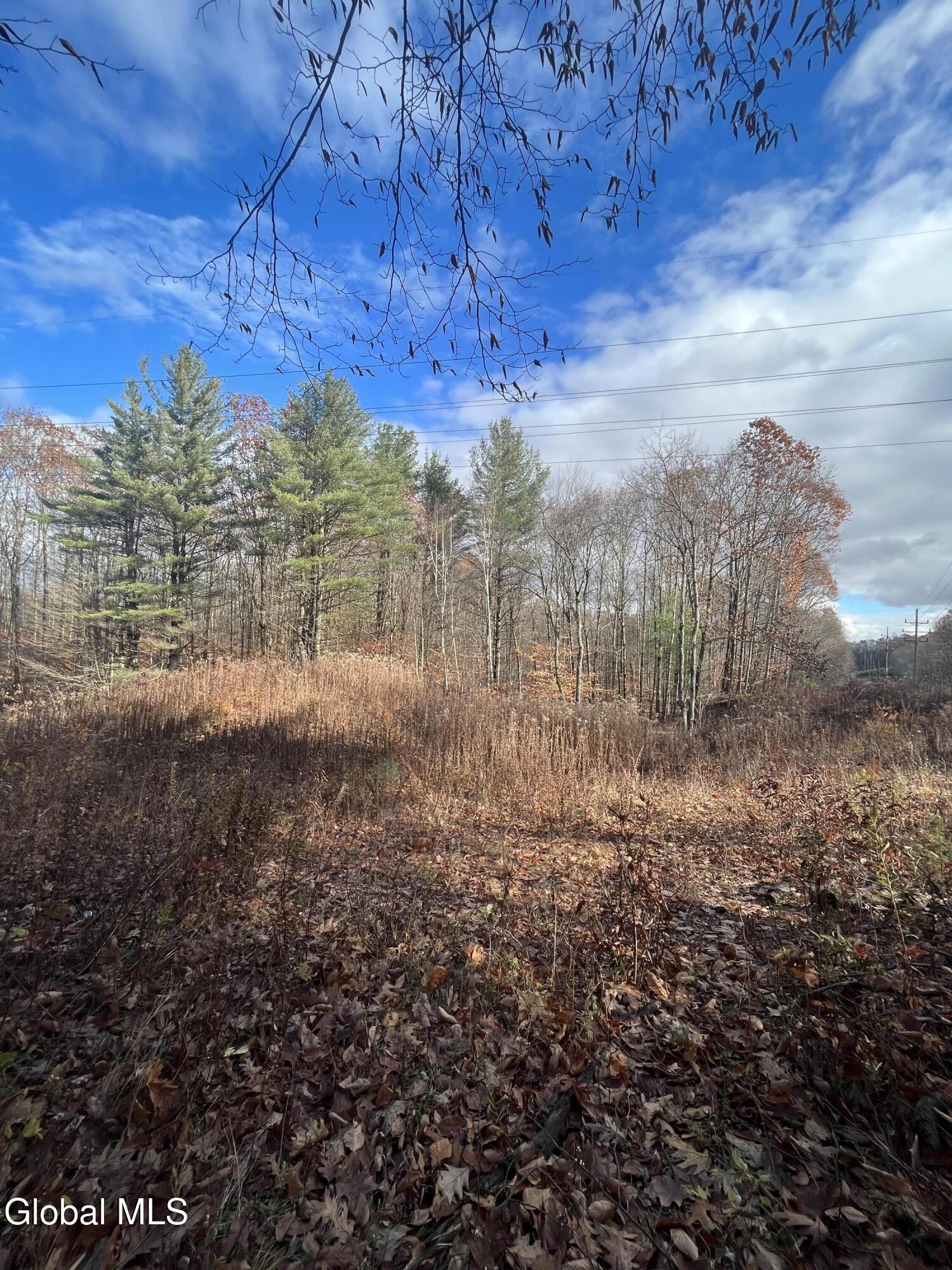 38.11 Spring Ave Extension Gloversville, NY 12078 - Photo 5 of 17 IMG_7060