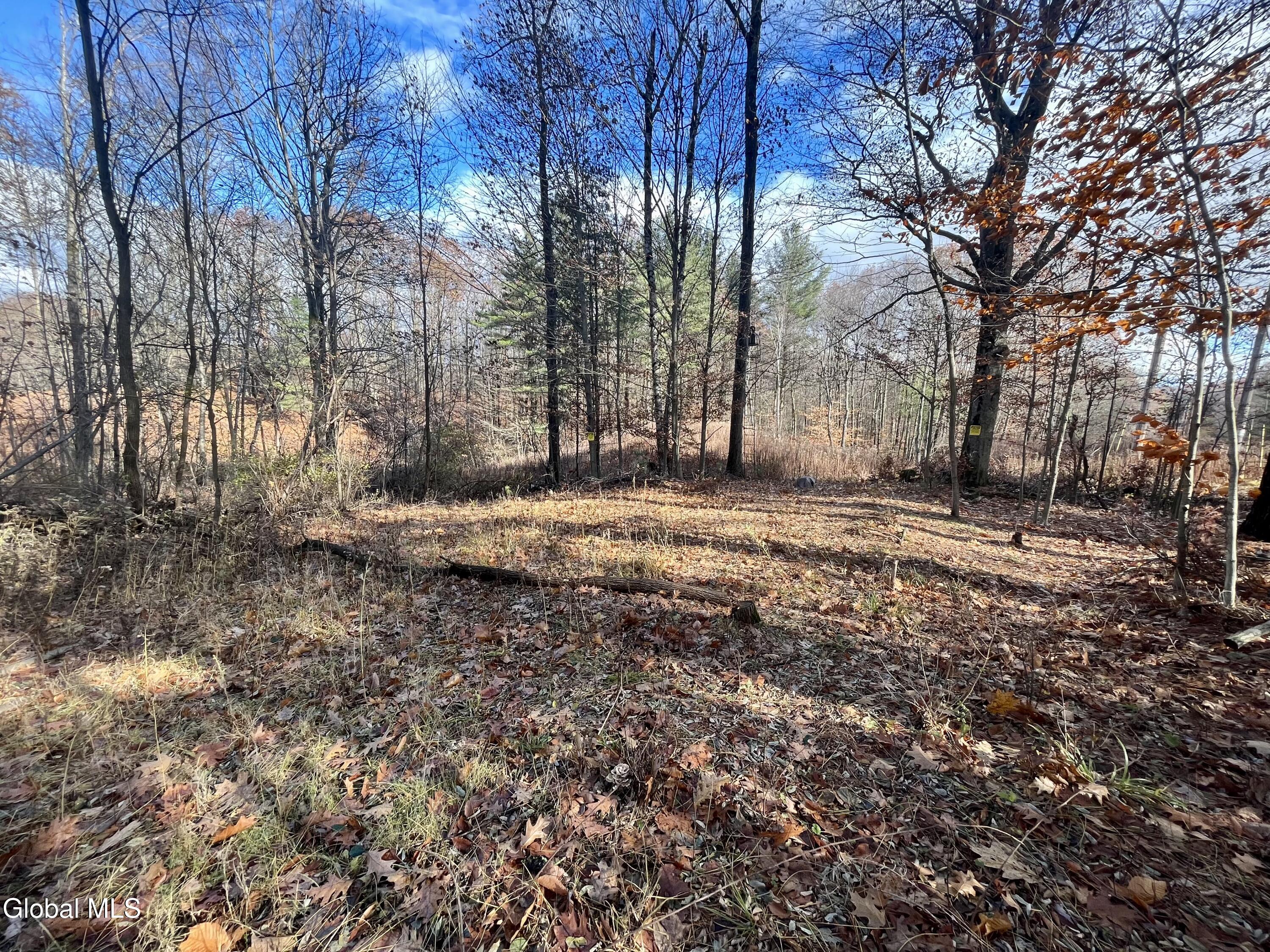 38.11 Spring Ave Extension Gloversville, NY 12078 - Photo 6 of 17 IMG_7067