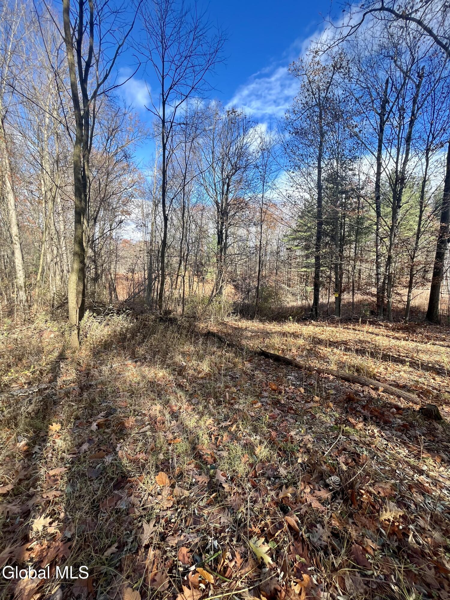 38.11 Spring Ave Extension Gloversville, NY 12078 - Photo 7 of 17 IMG_7066