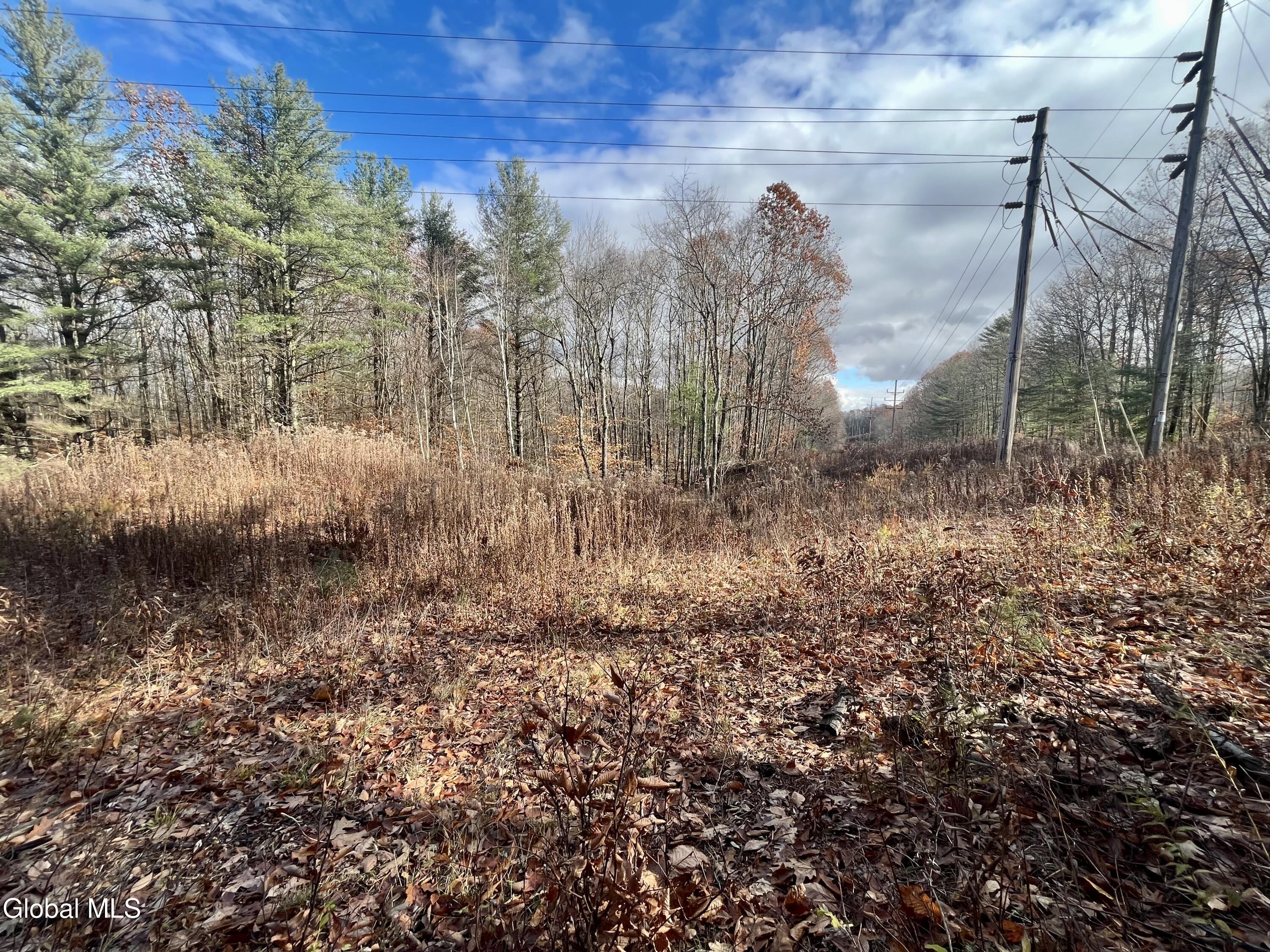 38.11 Spring Ave Extension Gloversville, NY 12078 - Photo 8 of 17 IMG_7063