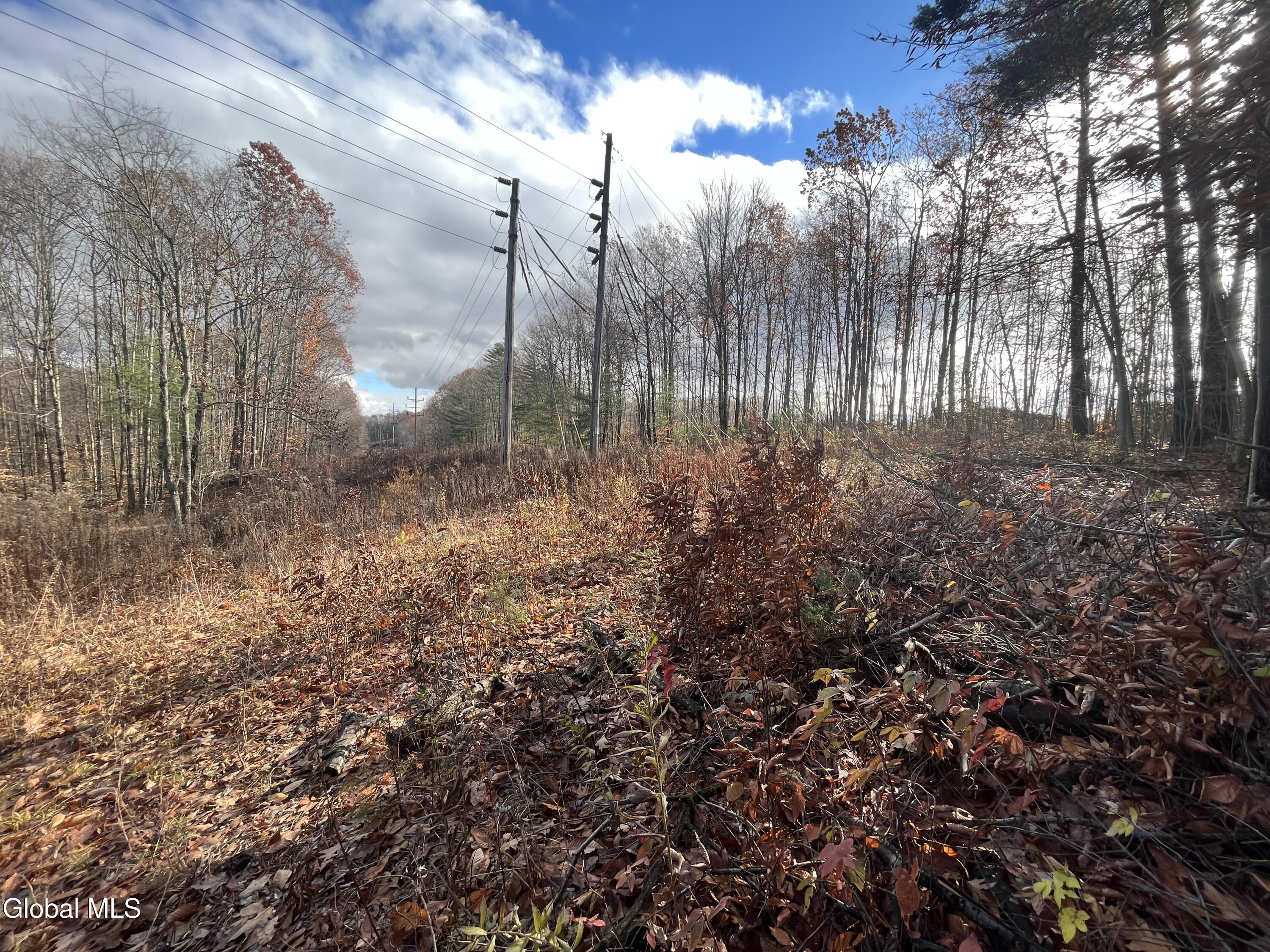 38.11 Spring Ave Extension Gloversville, NY 12078 - Photo 9 of 17 IMG_7064