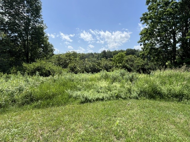 518 South Gilboa Road Gilboa, NY 12167 - Photo 16 of 32 side yard