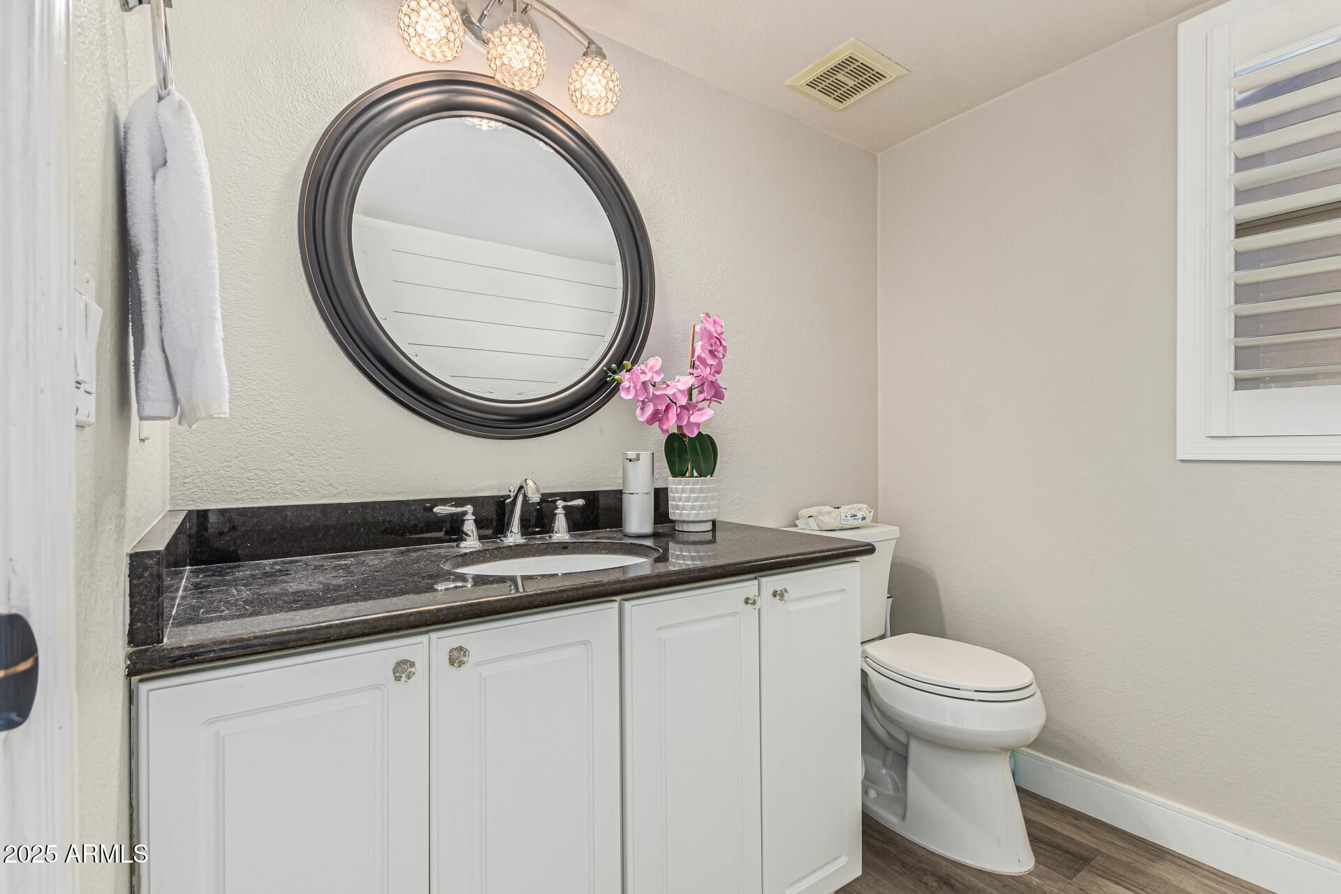 1038 East Harrison Court Gilbert, AZ 85295 - Photo 11 of 27 a bathroom with a toilet a sink and a mirror
