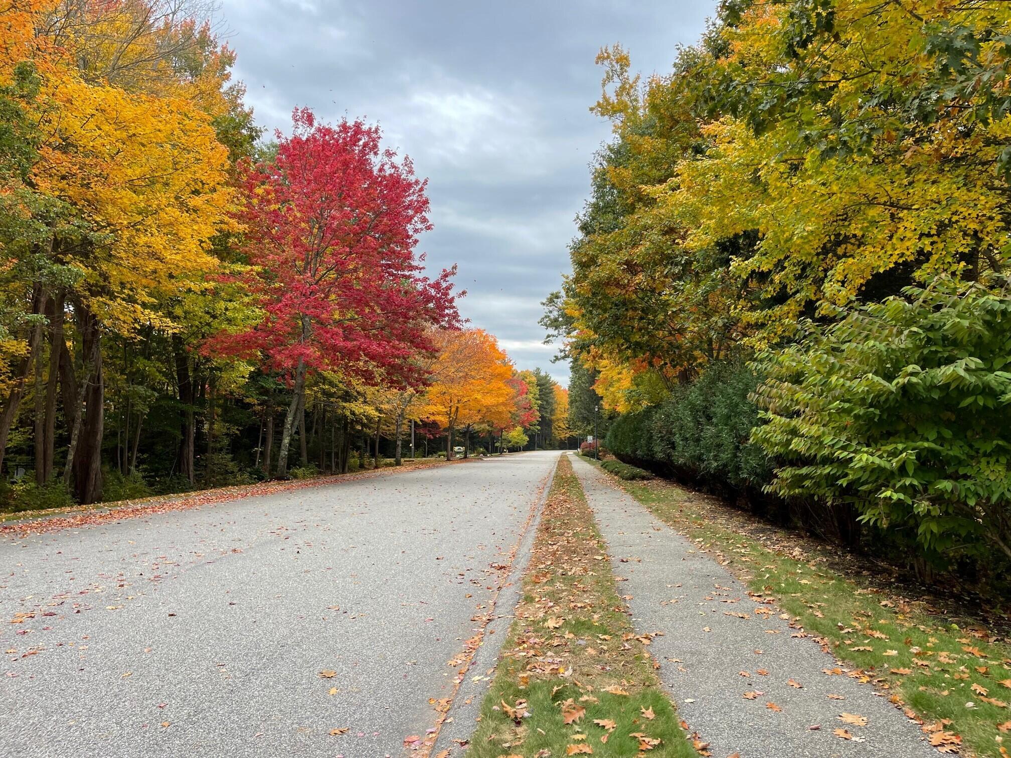 19 Windsor Commons Drive, Unit 19 Kennebunk, ME 04043 - Photo 3 of 68 Miles of walking opportunities