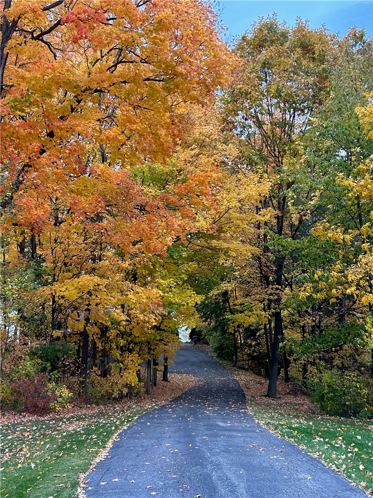 843 West Lake Road Jerusalem, NY 14418 - Photo 44 of 50 Fabulous Fall over the driveway!