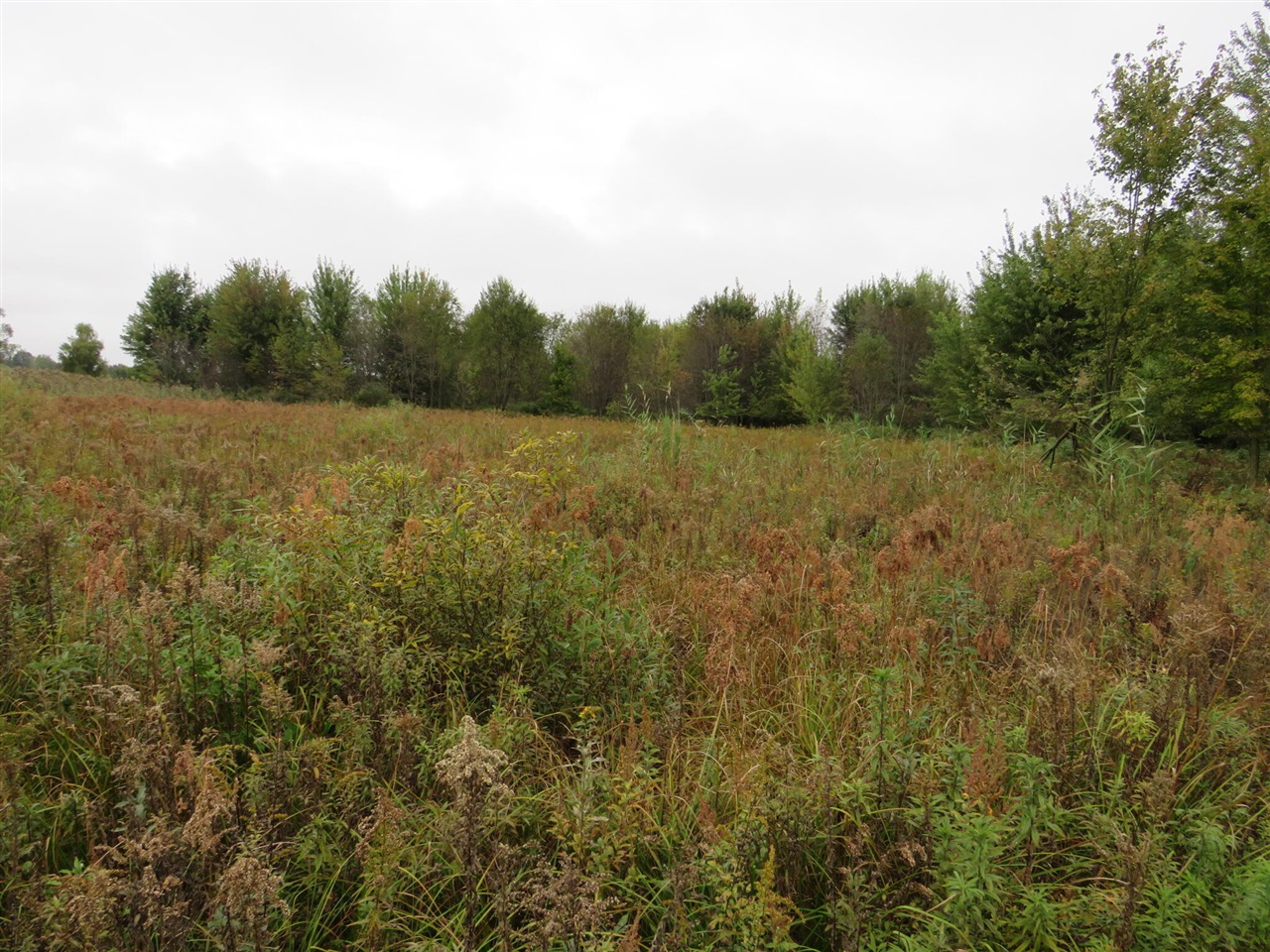 Vl Mcclure Road Eaton Rapids, MI 48827 - Photo 29 of 72