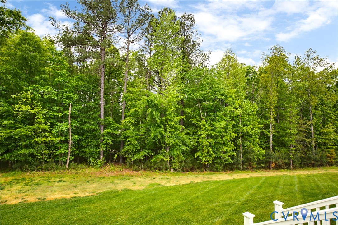 15819 Blooming Road Chesterfield, VA 23832 - Photo 49 of 51
