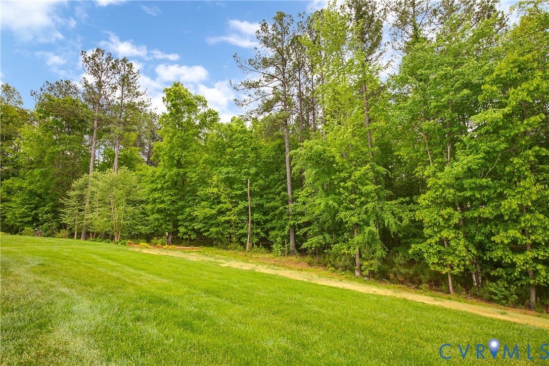 15819 Blooming Road Chesterfield, VA 23832 - Photo 50 of 51