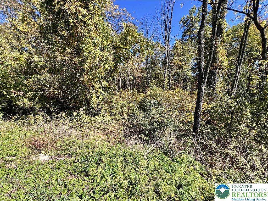 33 Pa Route Wind Gap, PA 18091 - Photo 2 of 11 a view of a bunch of plants and trees