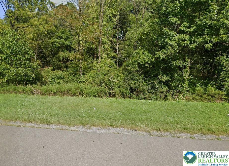 33 Pa Route Wind Gap, PA 18091 - Photo 10 of 11 a view of a yard with a trees