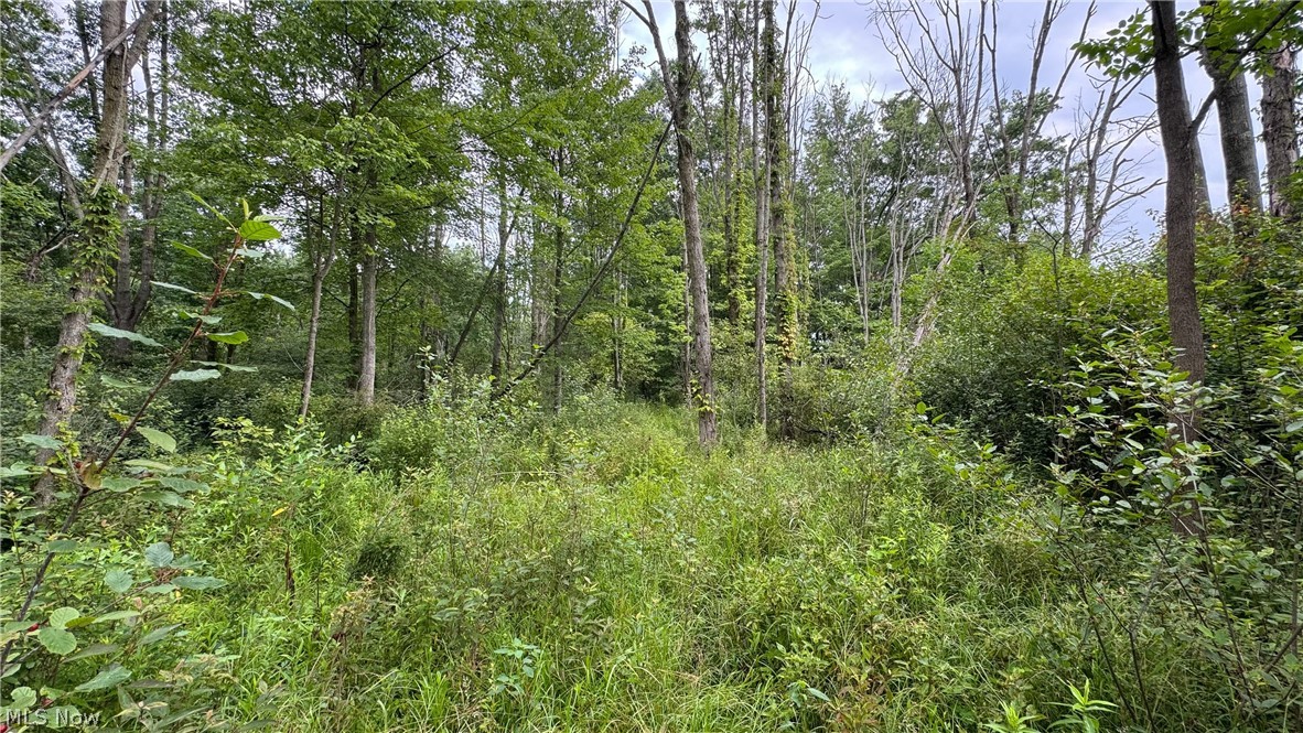 0 Pontius Road Mogadore, OH 44260 - Photo 25 of 32 Gallery Image 25