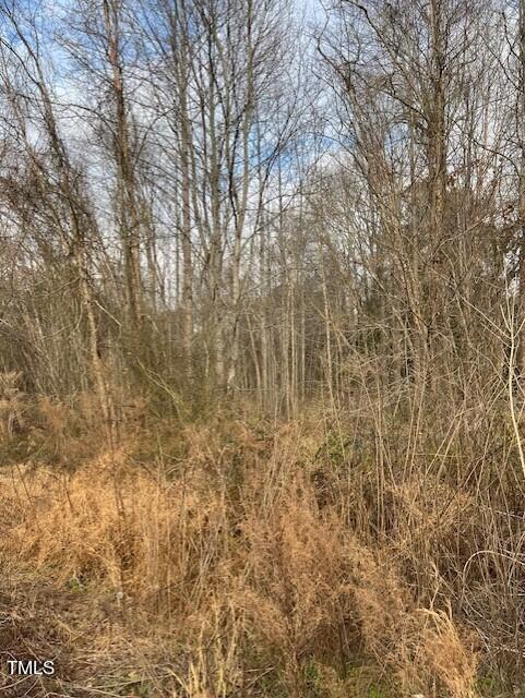 1293 Guy Road Clayton, NC 27520 - Photo 2 of 6 Land - 1293 Guy Rd