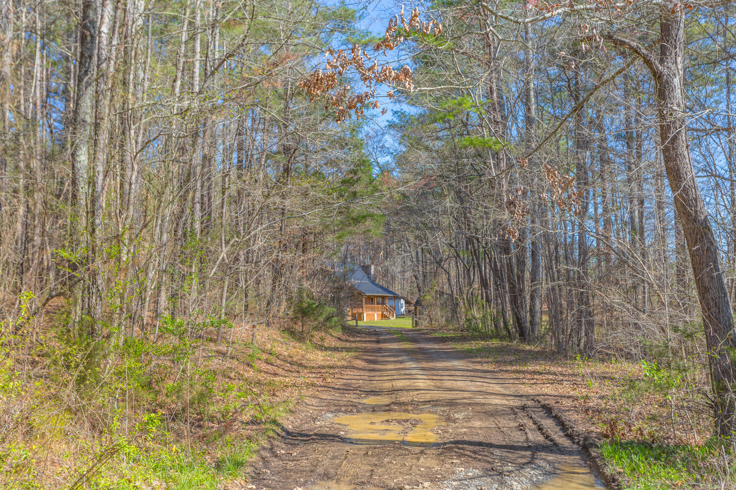 199 Mt Vernon Road Ringgold, GA 30736 - Photo 7 of 46 199 Mount Vernon HD-52