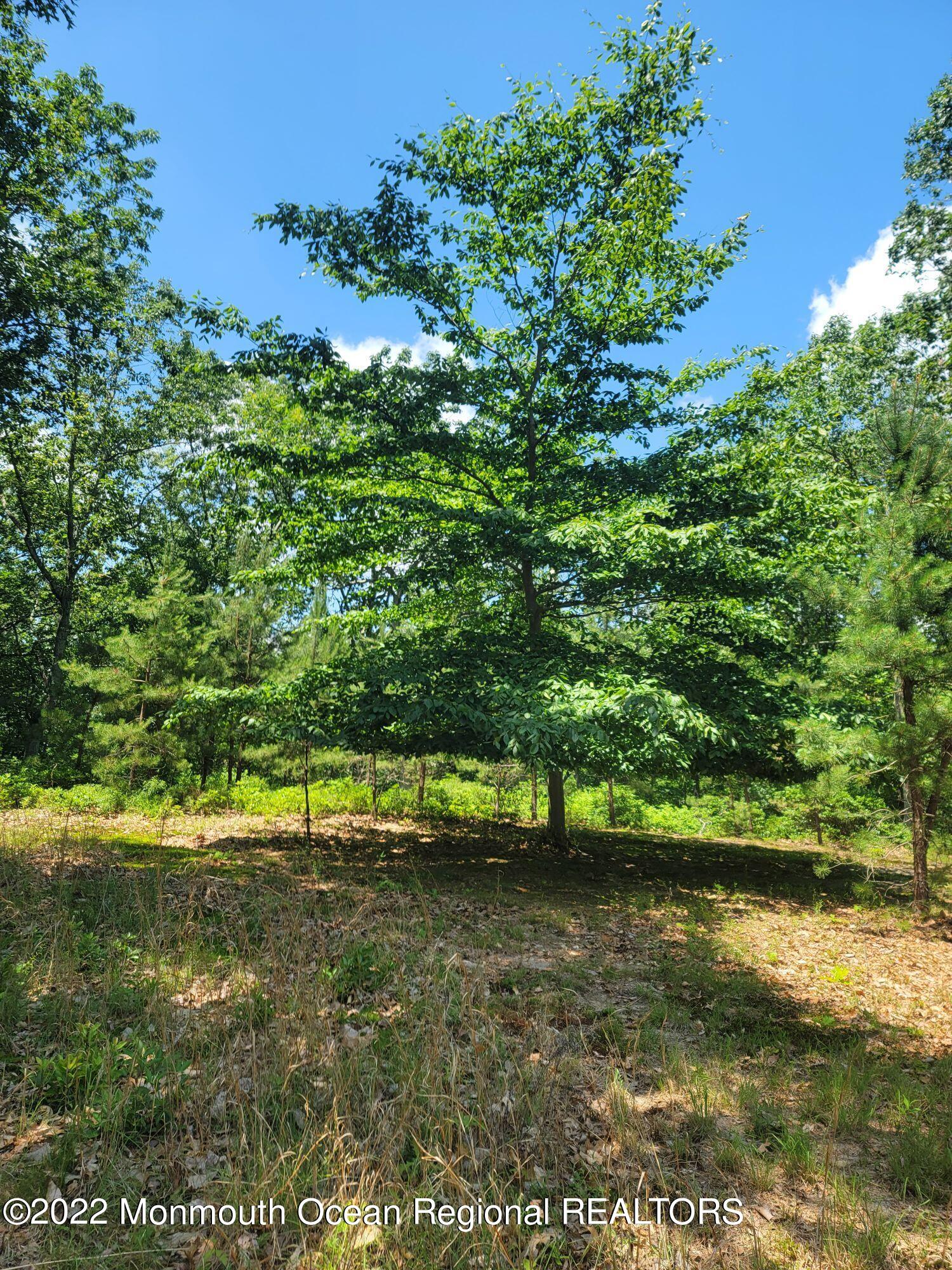 87 Tower Road Cream Ridge, NJ 08514 - Photo 3 of 3 2022 91 tower 2