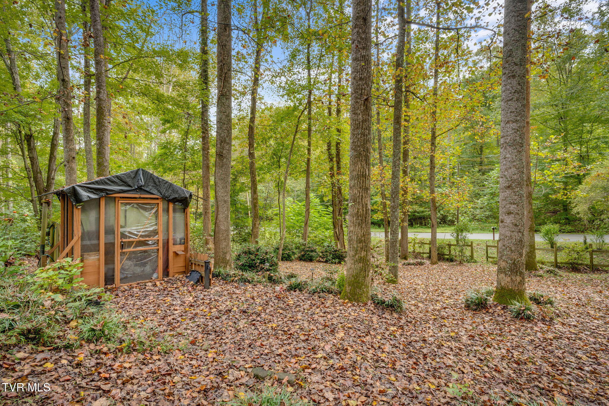 1556 Powder Branch Road Johnson City, TN 37601 - Photo 31 of 35 033