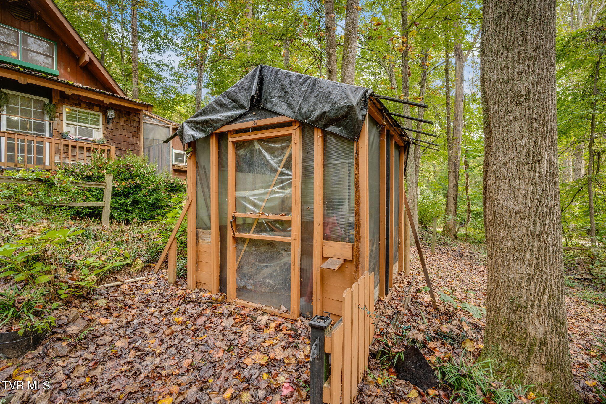 1556 Powder Branch Road Johnson City, TN 37601 - Photo 33 of 35 034
