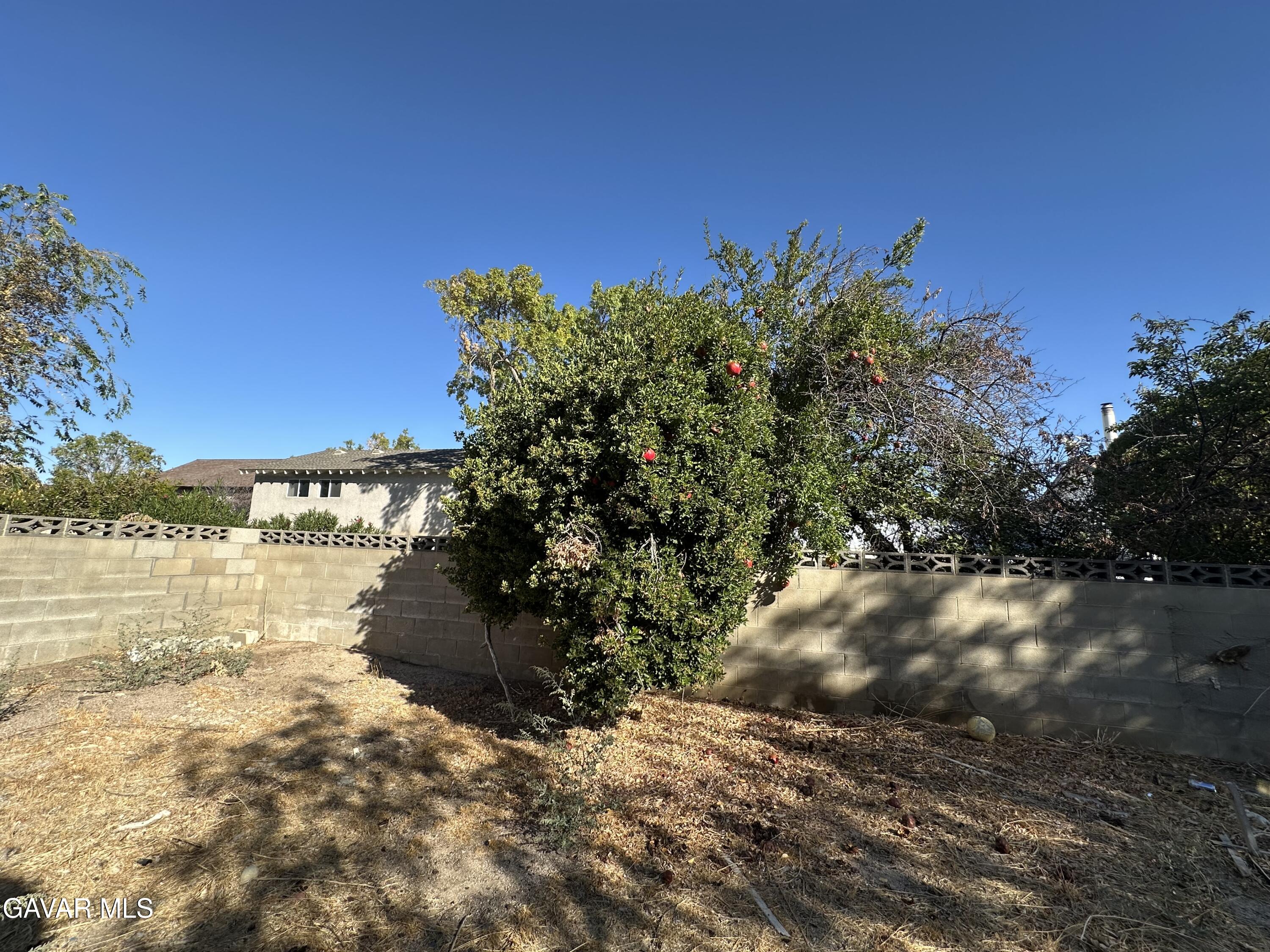 1111 Caperton Street Lancaster, CA 93535 - Photo 6 of 49 a view of a lake with a building in the background