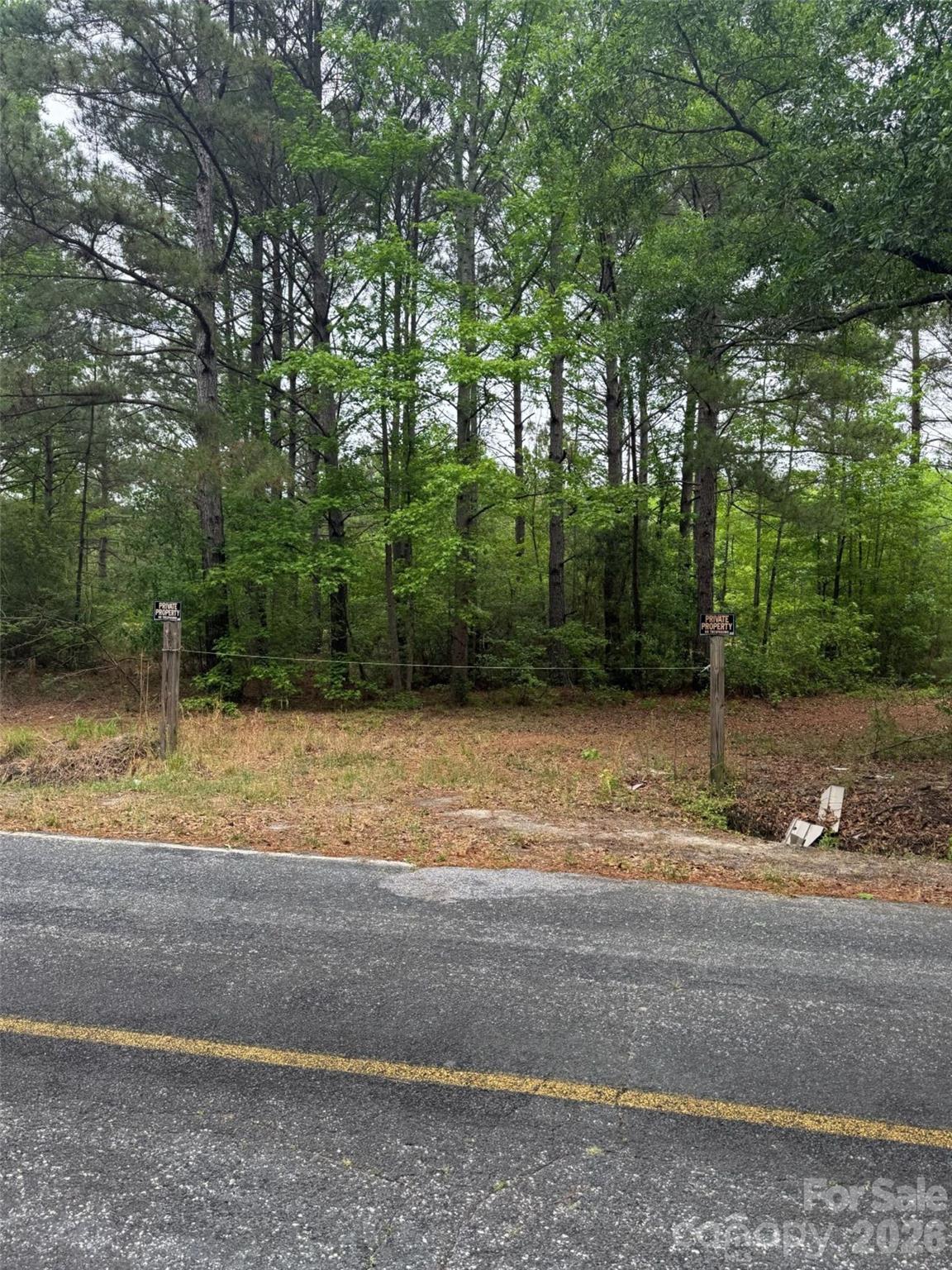 0 Daniel Chapel Road McColl, SC 29570 - Photo 11 of 34 Gallery Image 11