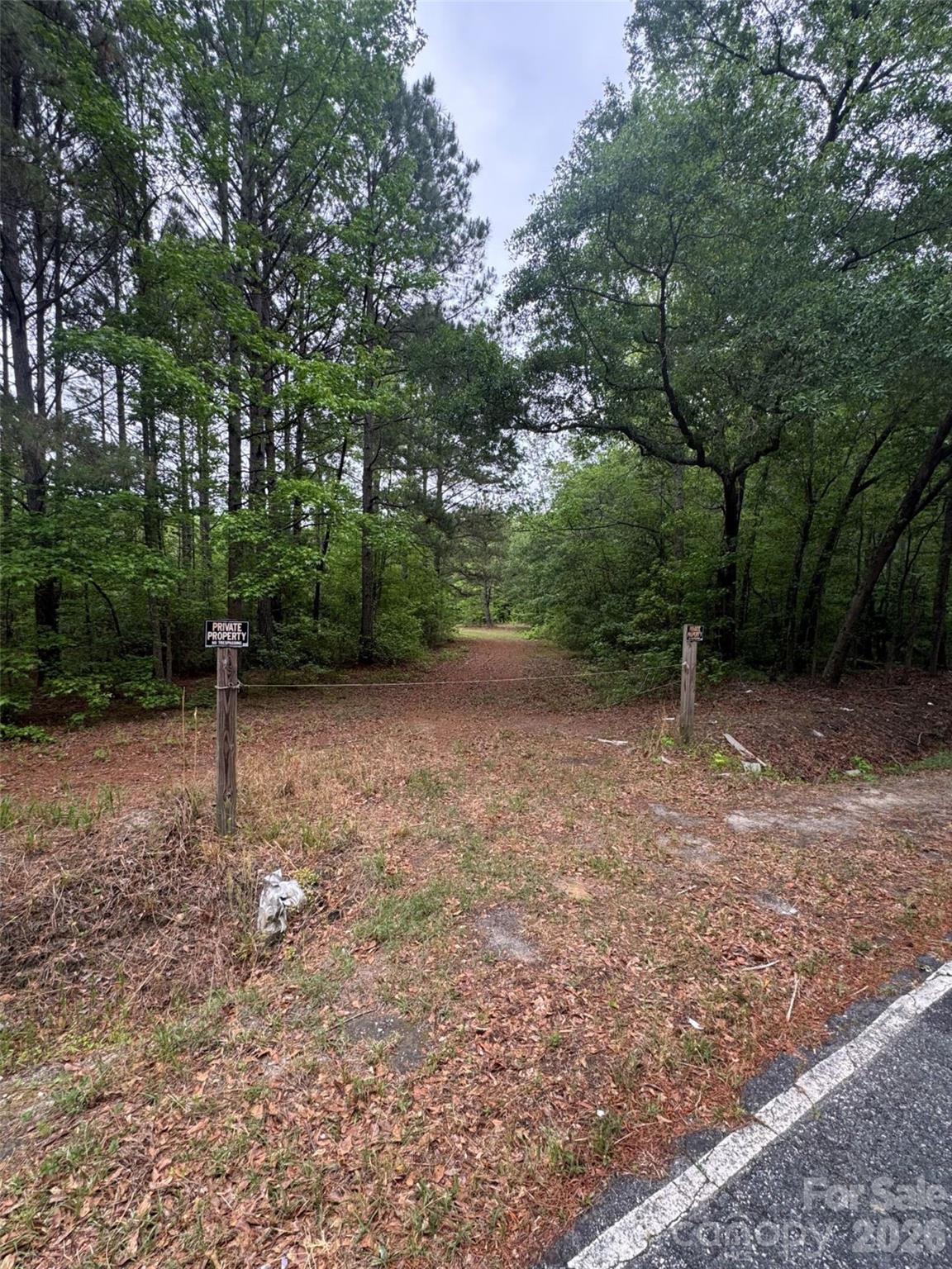 0 Daniel Chapel Road McColl, SC 29570 - Photo 12 of 34 Gallery Image 12